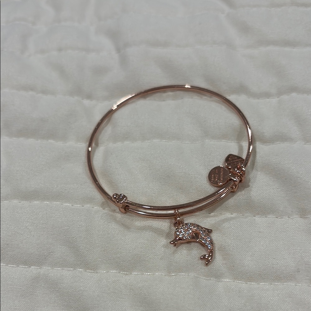 Rose Gold Dolphin 🐬 Charm Bracelet with Heart Accents